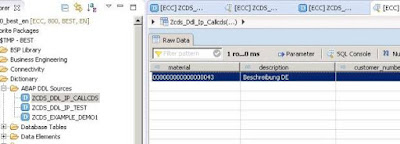 ABAP CDS View with input parameters