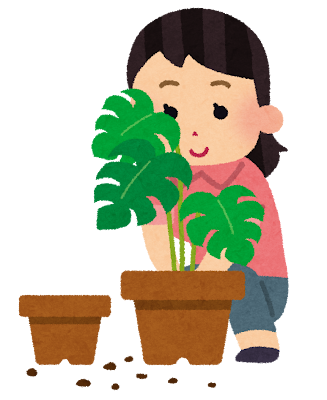 植物の植え替えのイラスト