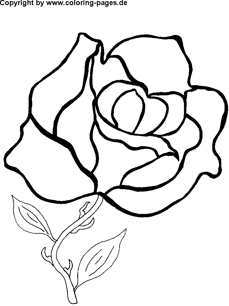 a flower coloring pages - photo #35