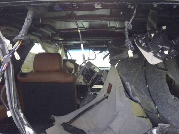 Woodsterman: Bear vs. Toyota