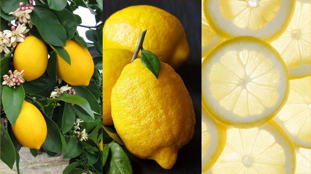 Fresh Lemon and Its Healthy Juice