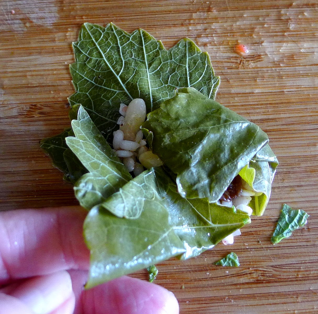 MY KITCHEN IN SPAIN GRAPE LEAF WRAPS