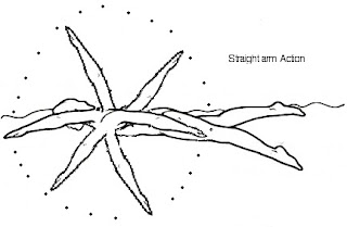 Image of Freestyle Swimming Techniques Straight Arms