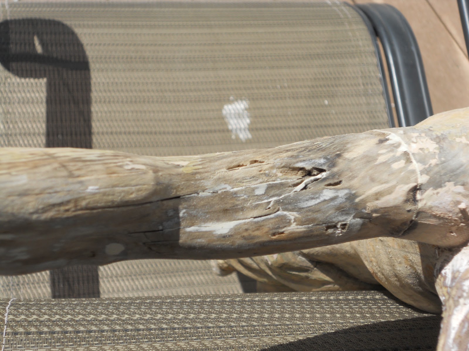 Long Island Wood Carvers Association August 2012