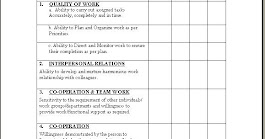 Probation Evaluation Form