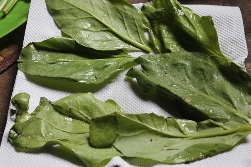 YUMMY TUMMY: Palak Pakora Recipe - Crispy Palak Pakoda Recipe