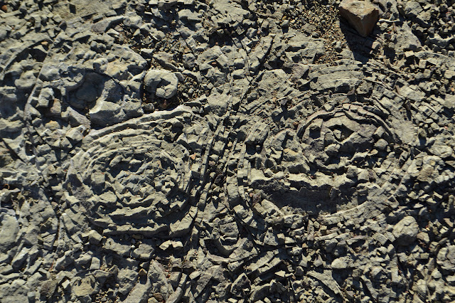 rounds set in stone