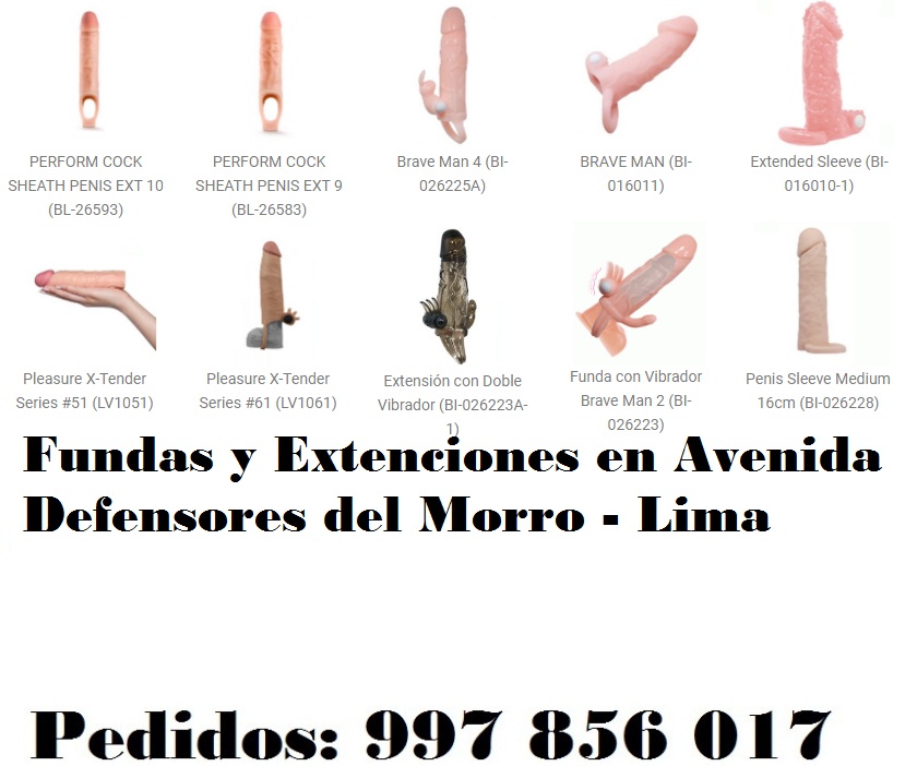 en Avenida Defensores del Morro - Lima