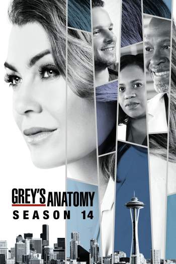 Grey’s Anatomy 14ª Temporada Torrent – WEB-DL 720p Dual Áudio