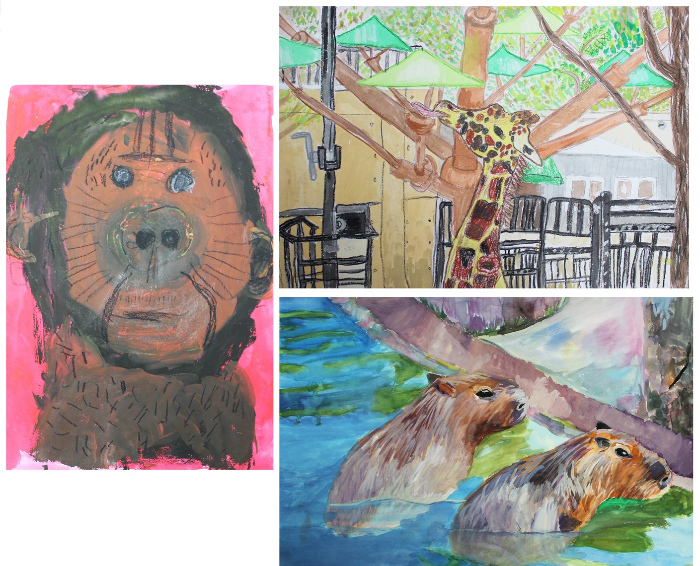 園からのお知らせ 第47回旭川市旭山動物園児童動物画コンクールの作品を募集します。（6/1～募集開始）