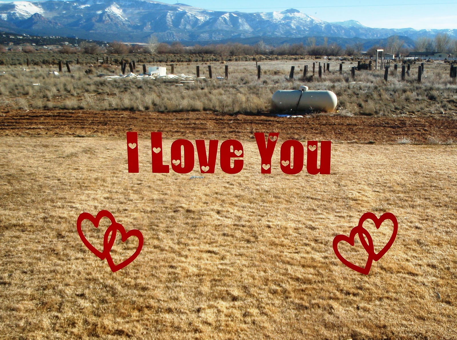 Mindy's Vinyl Expressions: Valentine's Day Windows 