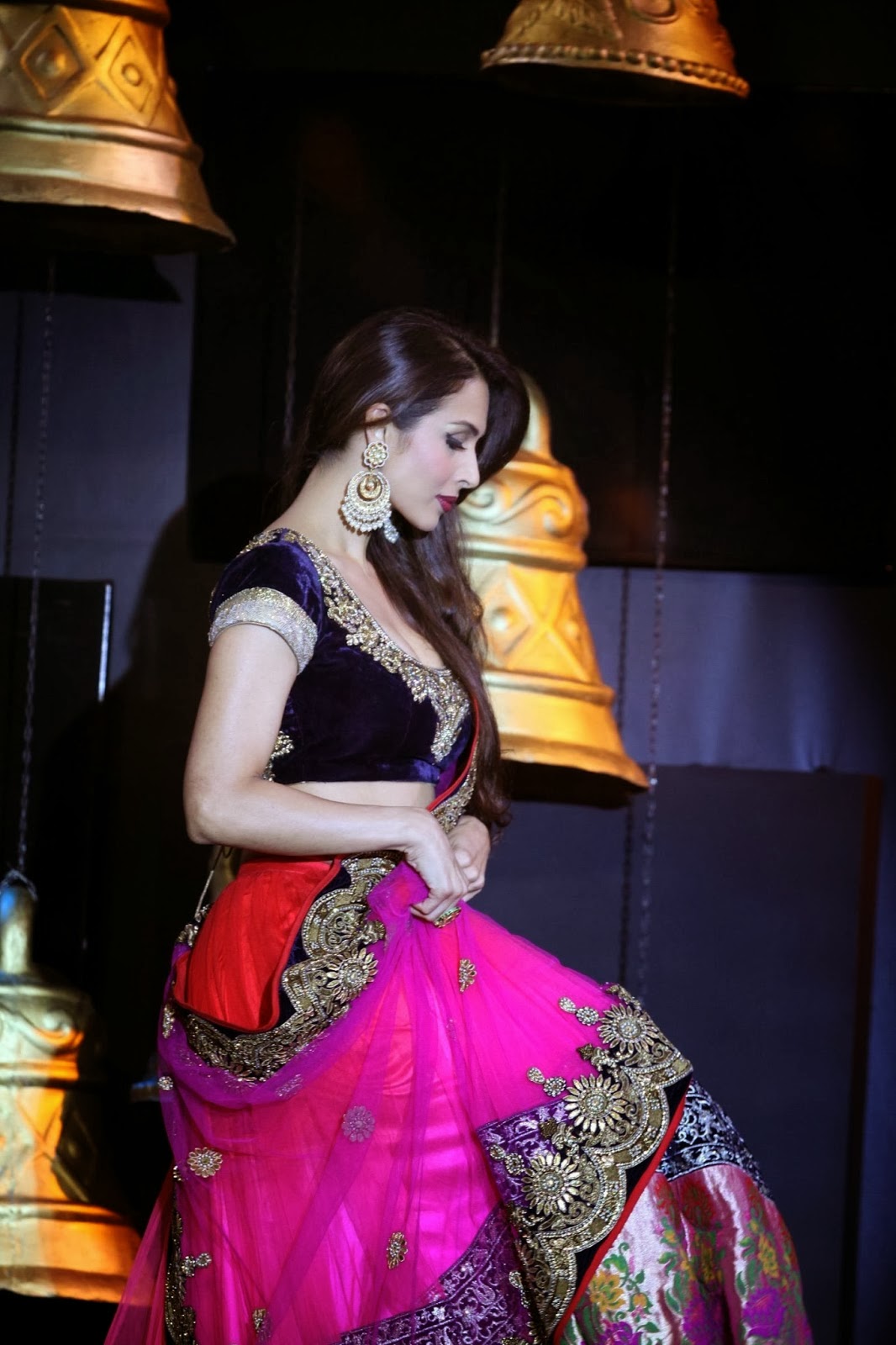 Malaika Arora Khan Looks Hot In Saree At Blenders Pride Fashion Tour 2013 | Beautiful Bollywood