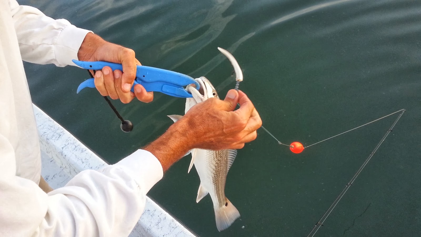 Catch Redfish On Popping Corks