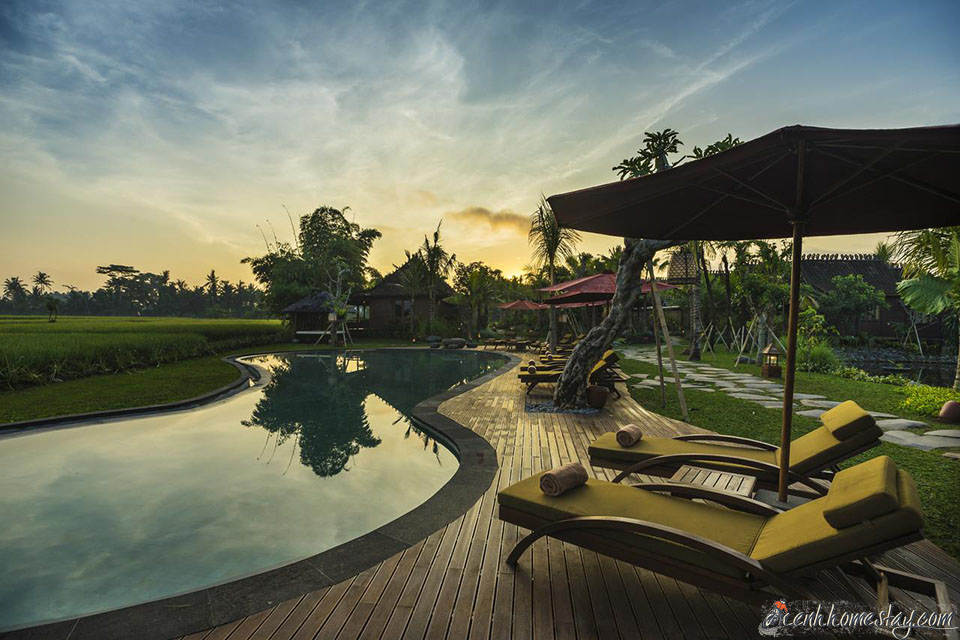 20 Biệt thự Villa Bali Indonesia giá rẻ đẹp view biển, có hồ bơi