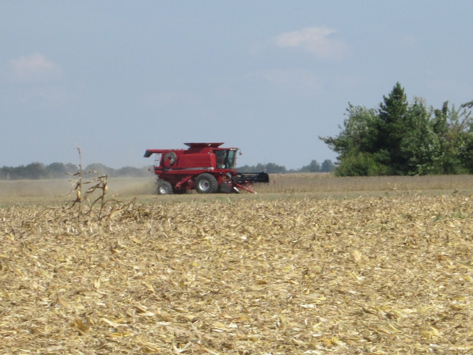 Soybean Harvest Cultivation Of Crops