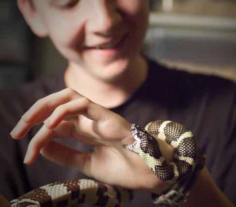 Featured image of post Sonhar Com Cobra Naja Preta