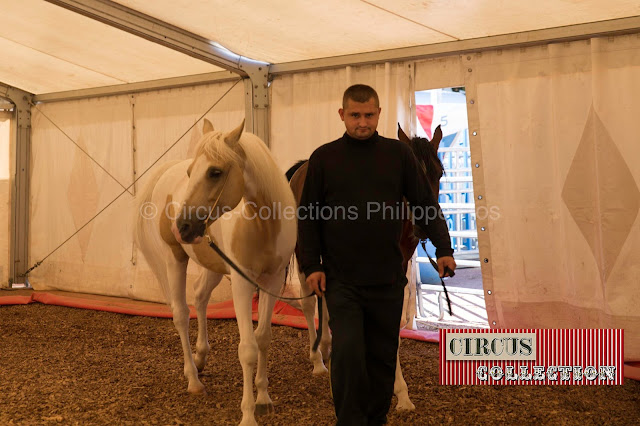 échauffement des chevaux avant d'aller faire leur numero