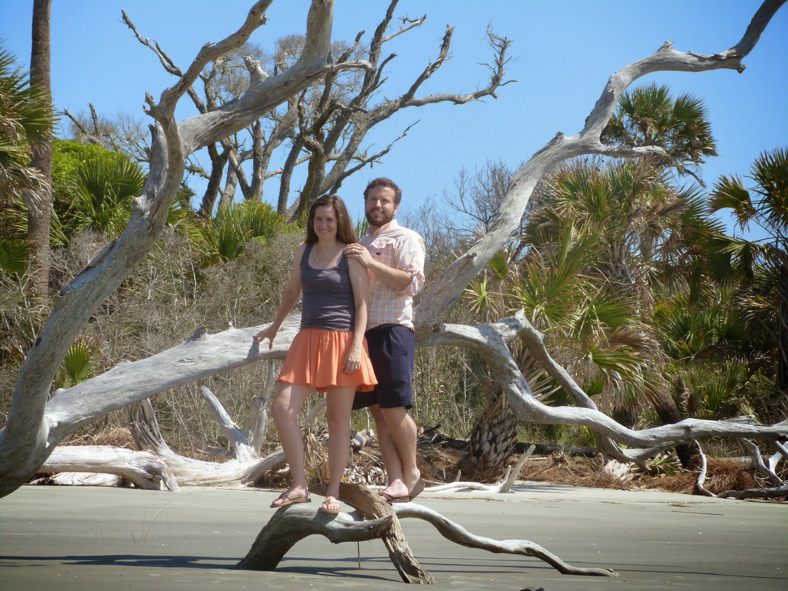 Bulls Island: Charleston, South Carolina's Pristine Barrier Island