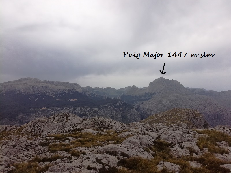 El Puig Major visto dal Puig Roig El Puig Major visto dal en Puig Roig