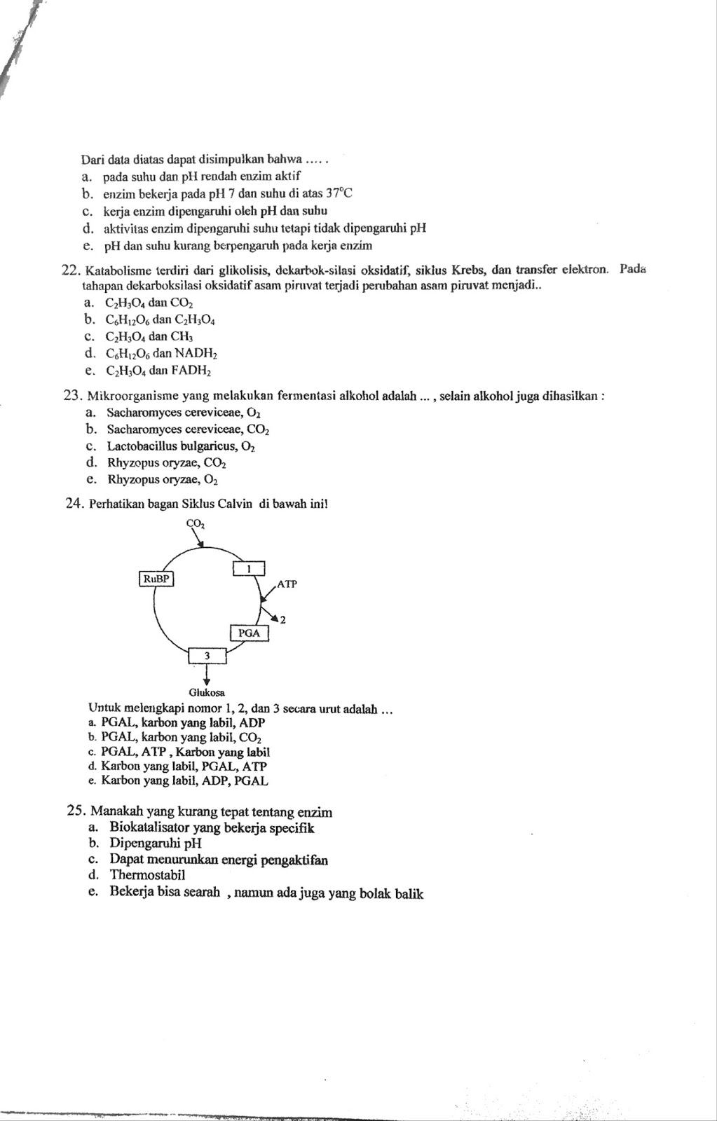 Contoh Soal Biologi Metabolisme Kelas 12 Guru Paud