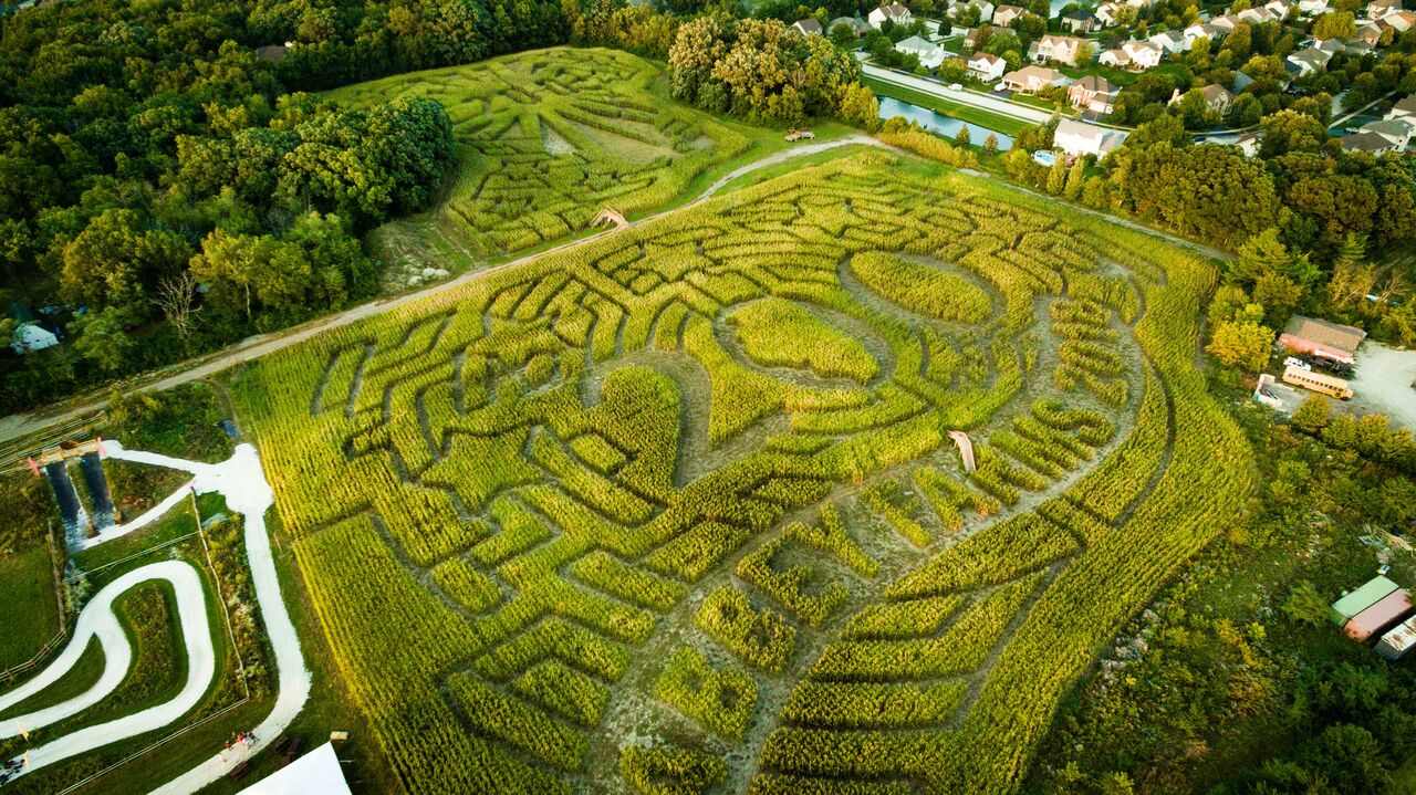 A Little Time and a Keyboard 12 Midwest Corn Mazes Not To Miss