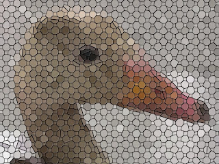 Mosaico de la cara de un ganso que parece estar tras una malla metálica. Composición: Selene Garrido Guil. ©Selene Garrido Guil