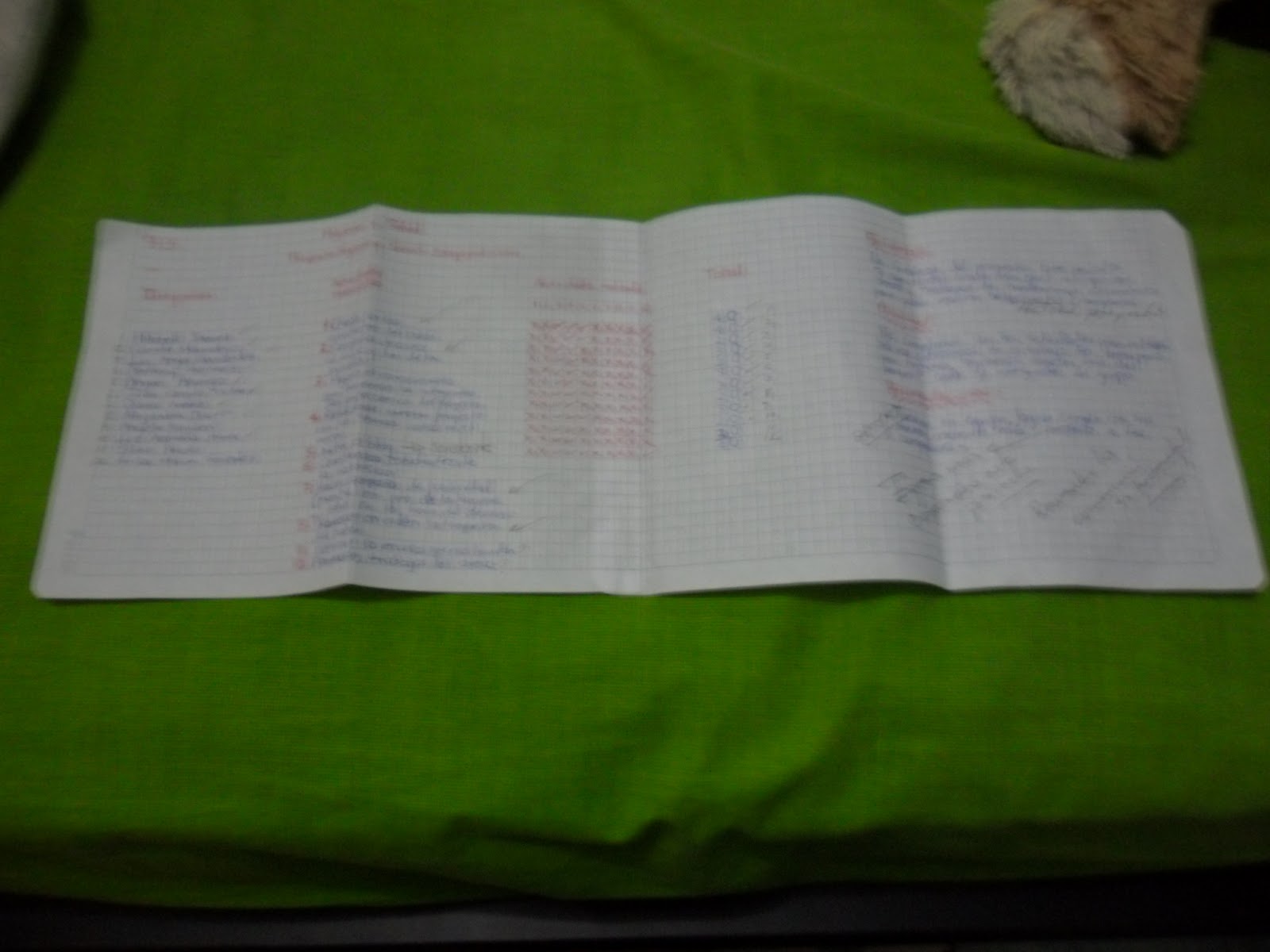 PROYECTO HIGIENE Y SALUD Campa as Tercer Periodo