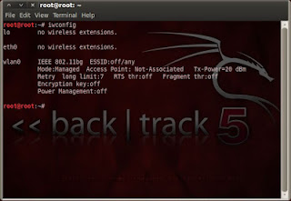 check Network status on Backtrack