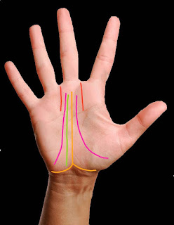 palmistry money line, palmistry money line, hand lines of rich, palmistry money triangle, palm reading success line, signs of wealth in palmistry, property line in palmistry, own house line in palmistry