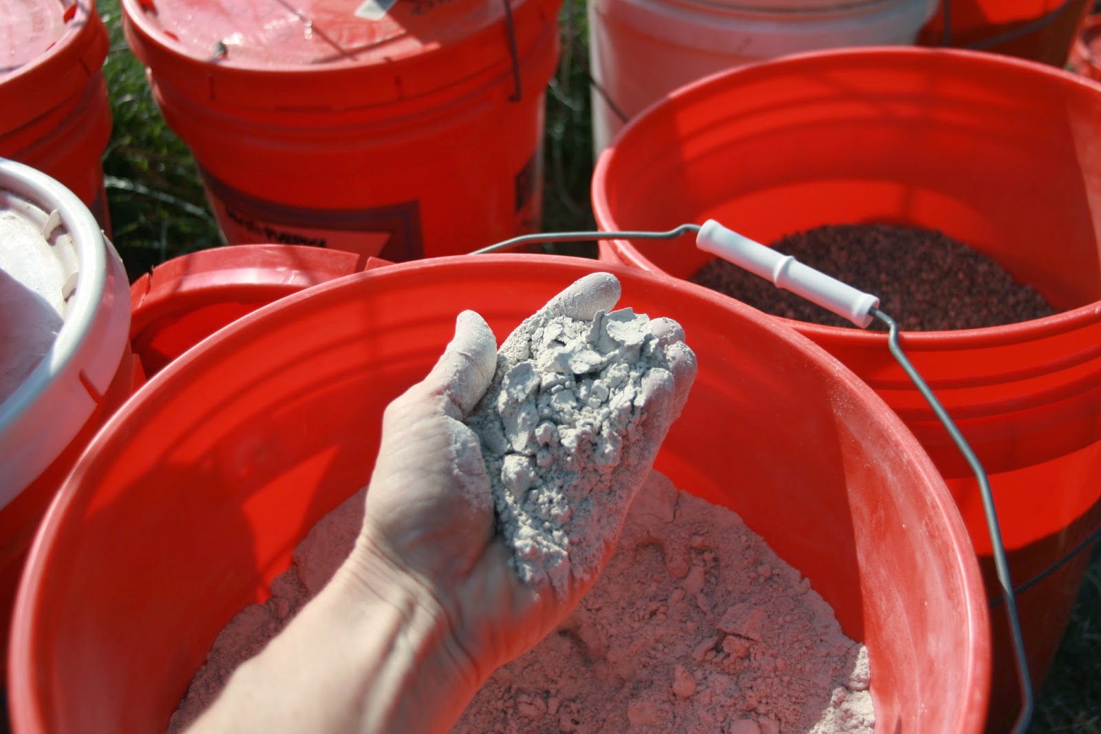 Eden Creek Farm Mortgage Lifter Tomatoes