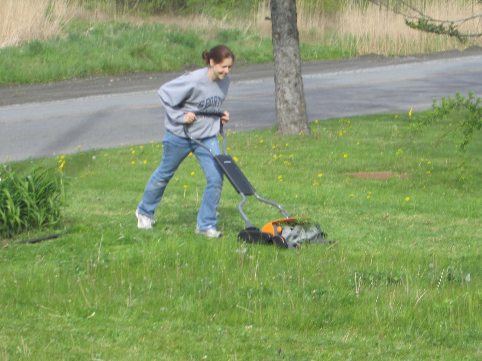 Cheap and Wise: The Saga of the Mower