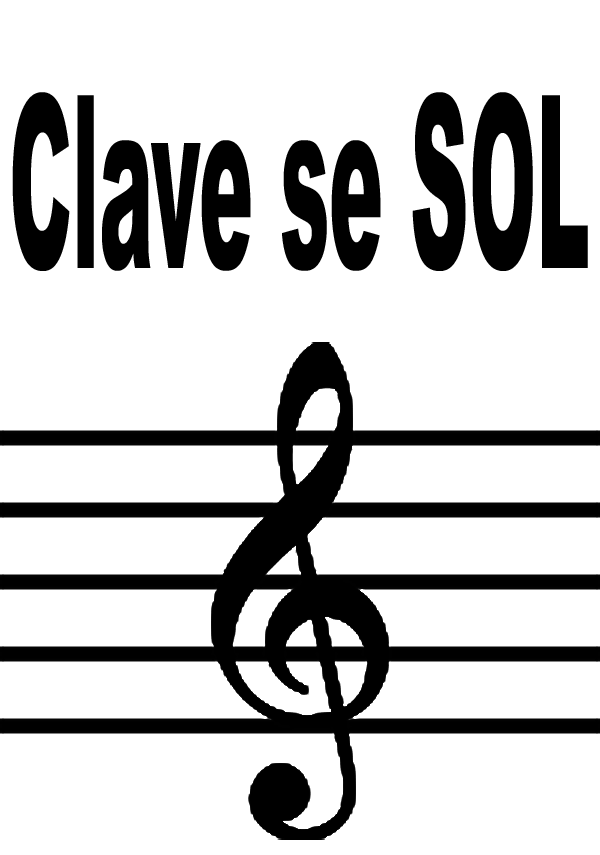 Músico Na  Teoria Musical Básica