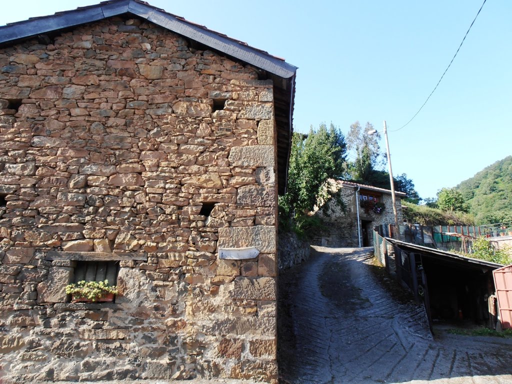 UN LUGAR PARA VIVIR Pandel