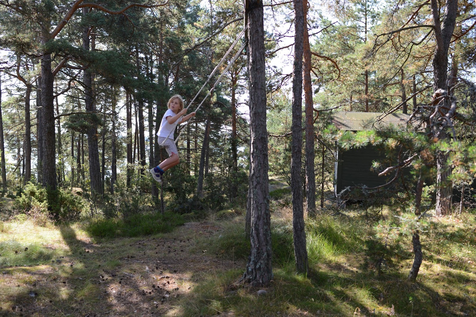 trains and chopsticks: Island swing, by Uma