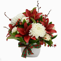 Christmas red and white flowers are gorgeous