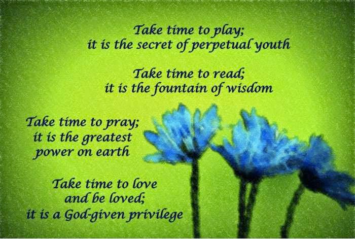 Wild Lynx Nature Animals Music Films Quotes 14