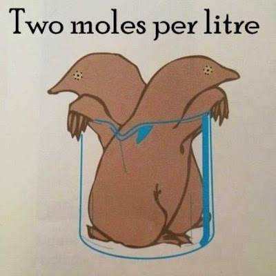 Moles chemistry joke