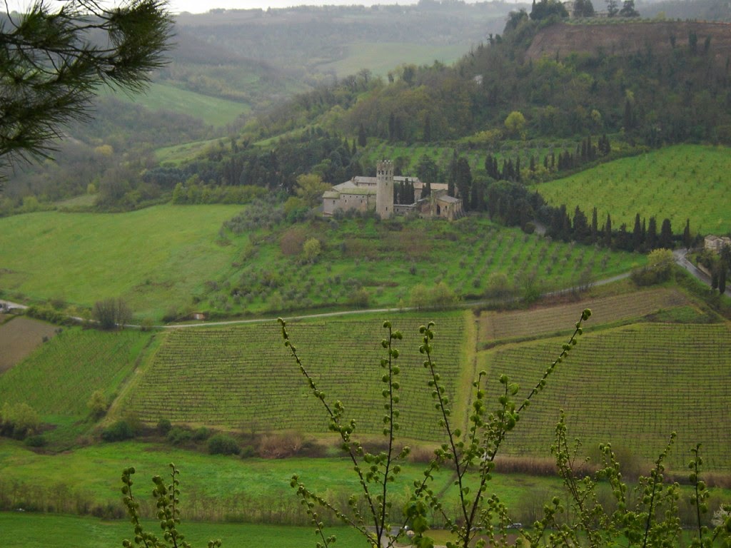 On the Wine Trail in Italy: Reflections on Italy ~ Regarding La Grande  Bellezza