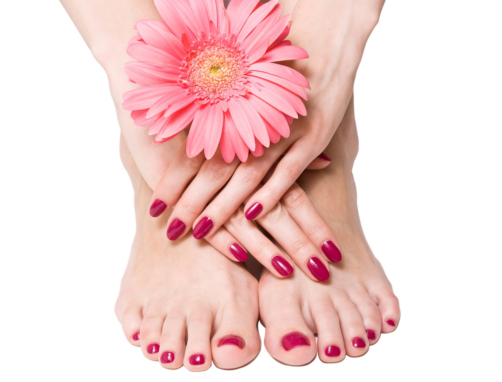 Manicure And Pedicure Salon Awesome Nail