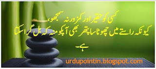 Aqwal-e-Zareen In Urdu Quotes