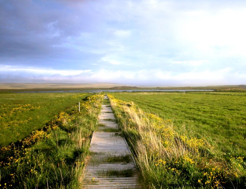 Great nature wallpapers  Vanko