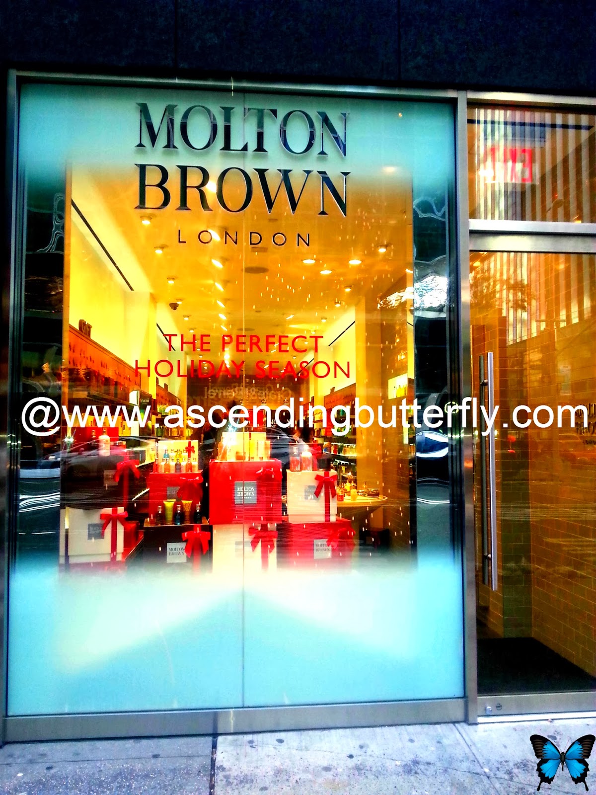 Ascending Butterfly Sniffapalooza MoltonBrownUSA in NewYorkCity! 