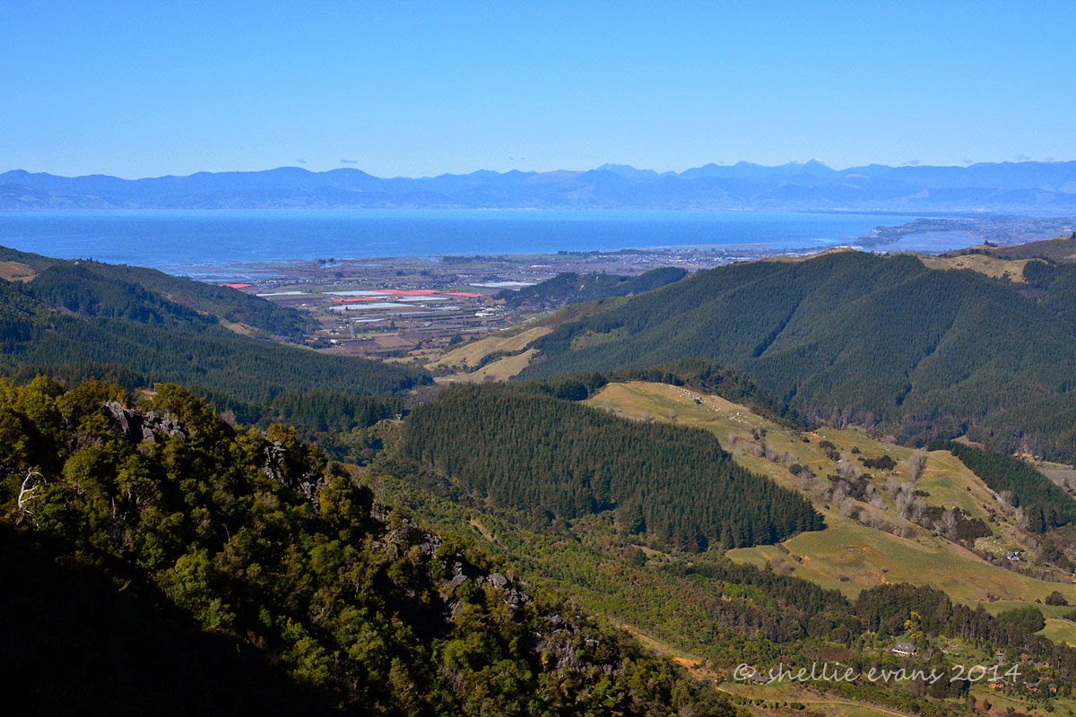 Two Go Tiki Touring A Journey Through Takaka Hill
