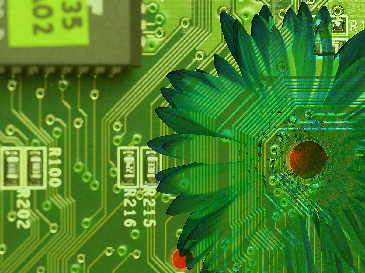 PARCOURS Peuton croire aux technologies numériques vertes?