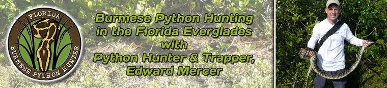 Python Snake Hunting in the Florida Everglades