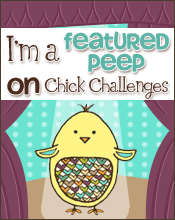 I was featured on Chicks Challenges