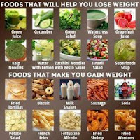 foods that will make you lose weight