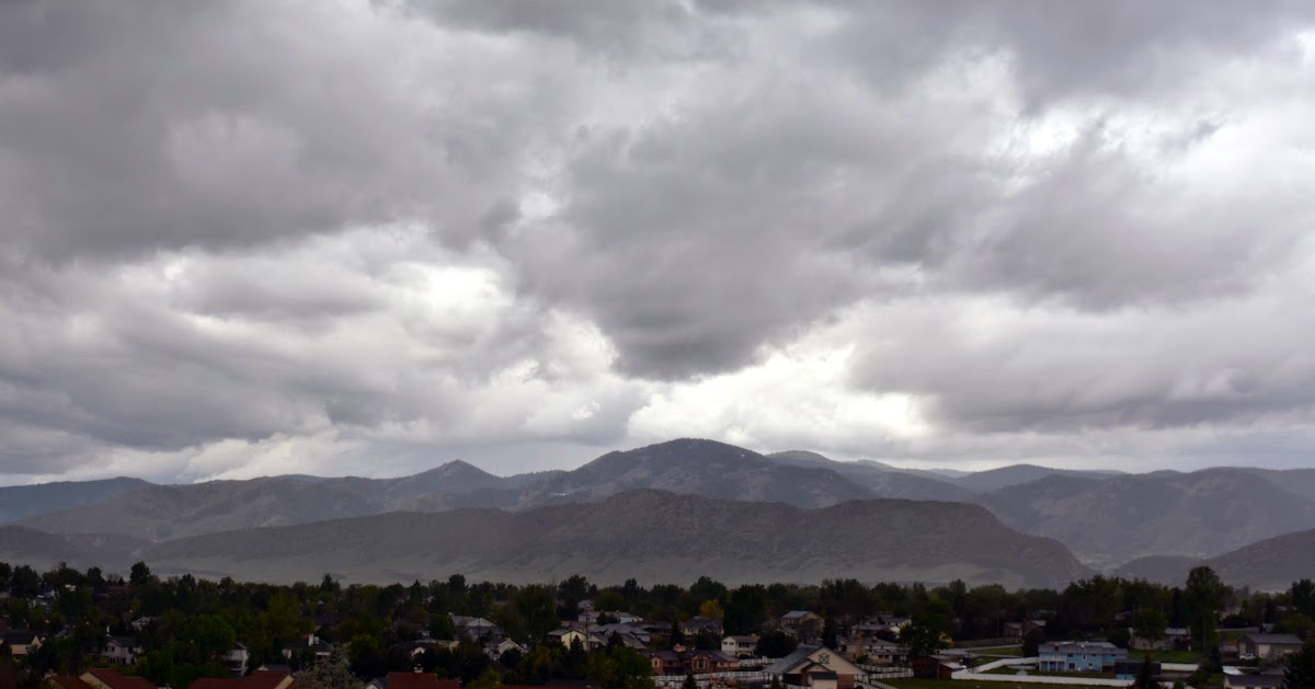 Mille Fiori Favoriti Flood at Chatfield Reservoir in Littleton