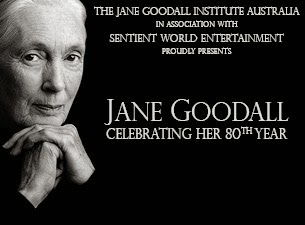Jane Goodall  2014