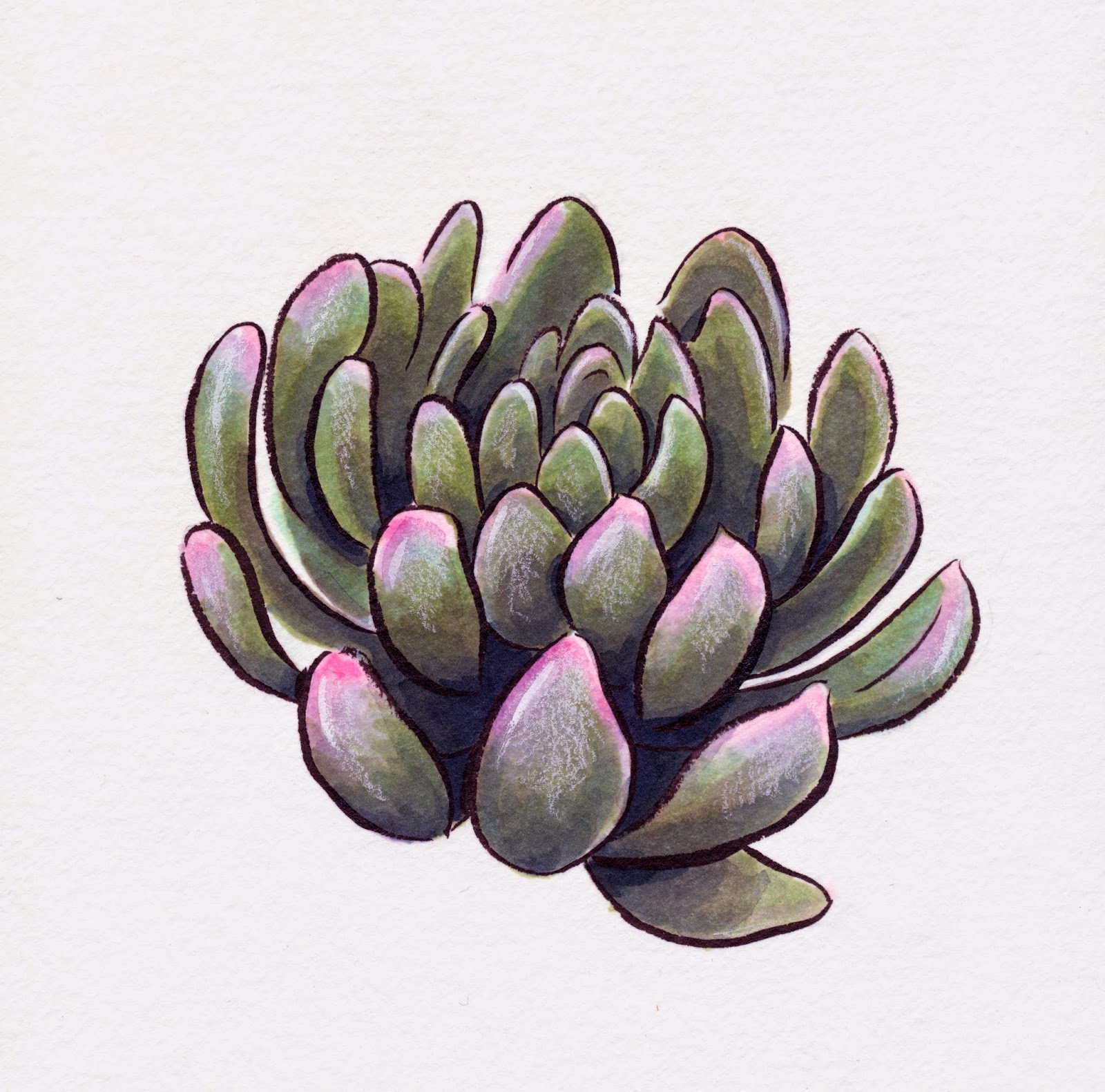 In My Sketchbook: Drawing Succulents With Markers - creative
